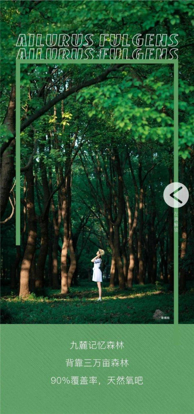 救援旅行男孩